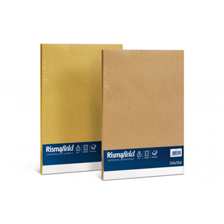 Carta Risma Field Riciclata A4 90gr 100fg Nocciola