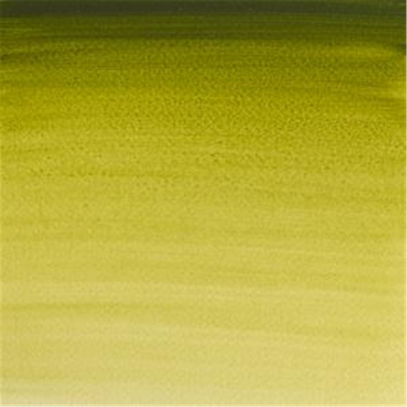 Winsor & Newton Professional Water Colour Awc Tubo 5ml Serie 1 - Colore 447 Verde Oliva