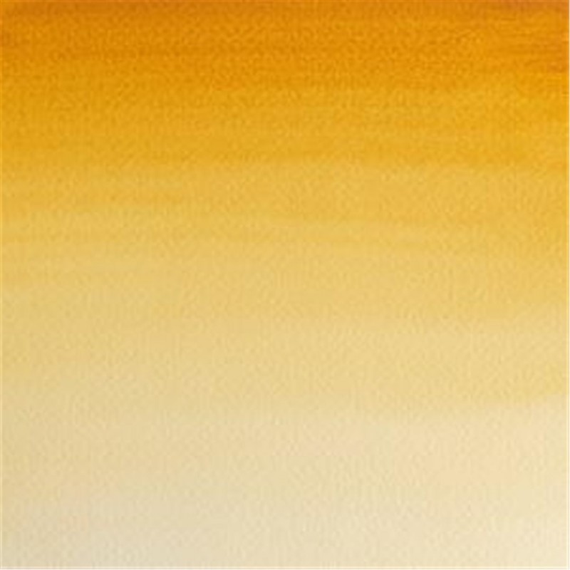 Winsor & Newton Professional Water Color 1/2 Awc 1-Series Godet Color Natural Sienna 552