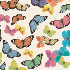 Tassotti Carta Regalo 70x100  Farfalle Colorate