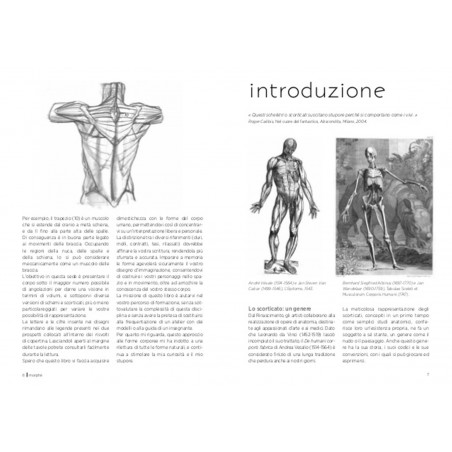 Artistic Anatomy - Morphology Booklet | L'Ippocampo