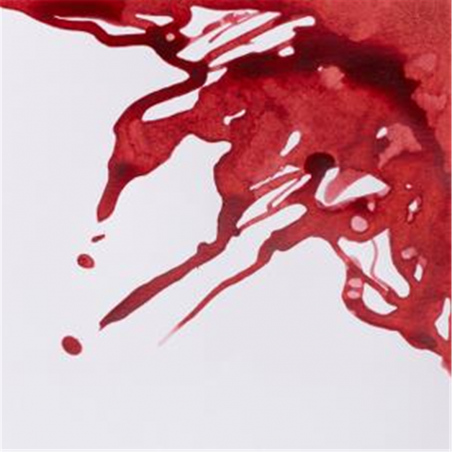 Inchiostro Di China 14 Ml. - 040 Rosso Mattone