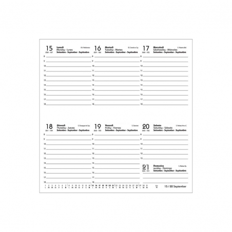 Ricambio Agenda 16x8 7g Vv Cartonata Carta Bn Beidge
