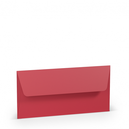 Busta Dl Foder.220x110 50pz 100gr 36 - Red