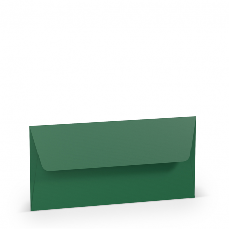 Busta Dl Foder.220x110 50pz 100gr 97 - Forest Green