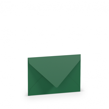 Busta C7 114x81 Gr.100 Foderata Pz.50 97-Forest Green