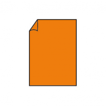 Biglietto Din A6 148x105 Gr220pz.100 21 - Orange