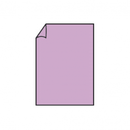 Biglietto Din A6 148x105 Gr220pz.100 45-Orchidea