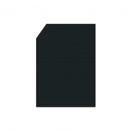 Biglietto Din A6 148x105 Gr220pz.100 70 - Black