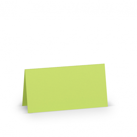 Segnaposto Din Gr220 Cm.10x10 Pz.100 22 - Lime Green
