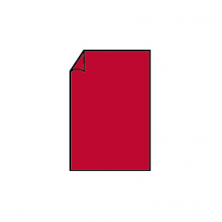 Biglietto 85x128 Gr.220 Pz.50 36 - Red