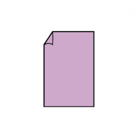 Biglietto 85x128 Gr.220 Pz.50 45-Orchidea