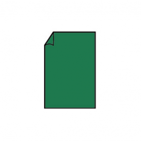 Biglietto 85x128 Gr.220 Pz.50 97 - Forest Green