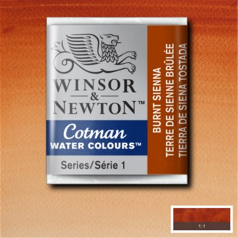Winsor & Newton Acquarello Fine Cotman 1-2 Godet - Colore 074 Terra Di Siena Bruciata