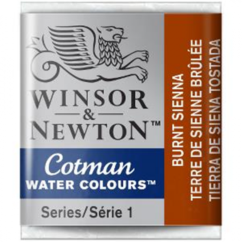 Winsor & Newton Cotman Watercolour End 1-2 Godet-074 Color Burnt Sienna