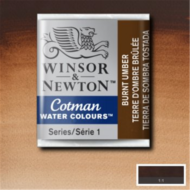Winsor & Newton Cotman Watercolour End 1-2 Godet-076 Color Burnt Umber