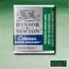 Acquarello Fine Cotman 1-2 Godet - Colore 312 Verde Hooker Scuro | Winsor & Newton
