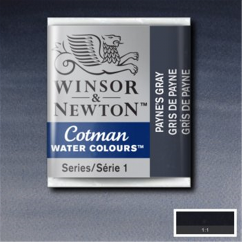 Winsor & Newton Acquarello Fine Cotman 1-2 Godet - Colore 465 Grigio Di Payne