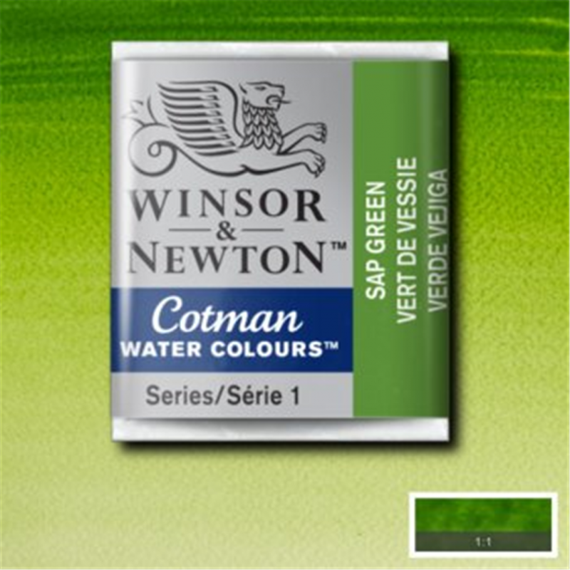 Winsor & Newton Cotman Watercolour End 1-2-Color Green 599 Godet Bladder