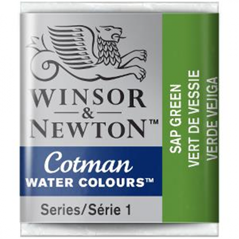 Winsor & Newton Acquarello Fine Cotman 1-2 Godet - Colore 599 Verde Vescica