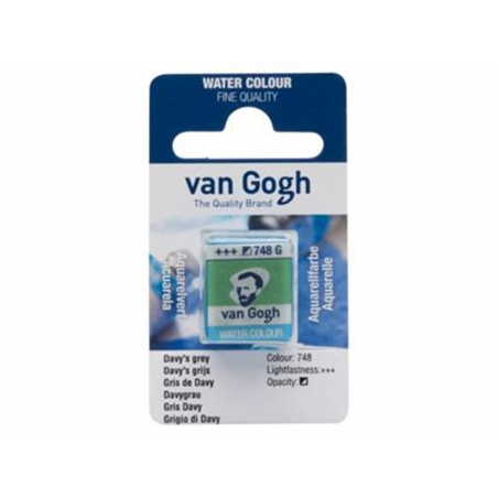 Acquarello In 1/2 Godet Colore Sr.standard Grigio Di Davy