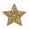 Star Confetti 2,5x3x0,3 Cm Glitter Gold 36pcs | Selezione Vertecchi