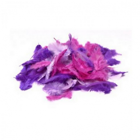 Piume Miste 3-10 Cm In Blister Mescolanza Viola