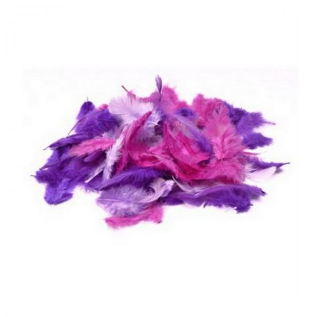 Piume Miste 3-10 Cm In Blister Mescolanza Viola