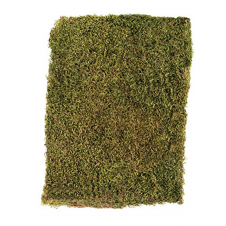 Muschio Piatto Seccato 100gr