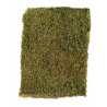 Dried Flat Moss 100gr | Rayher