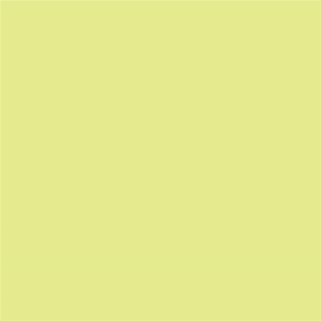 Pennarello Promarker W&N Lime zest (G159) — immagine 3
