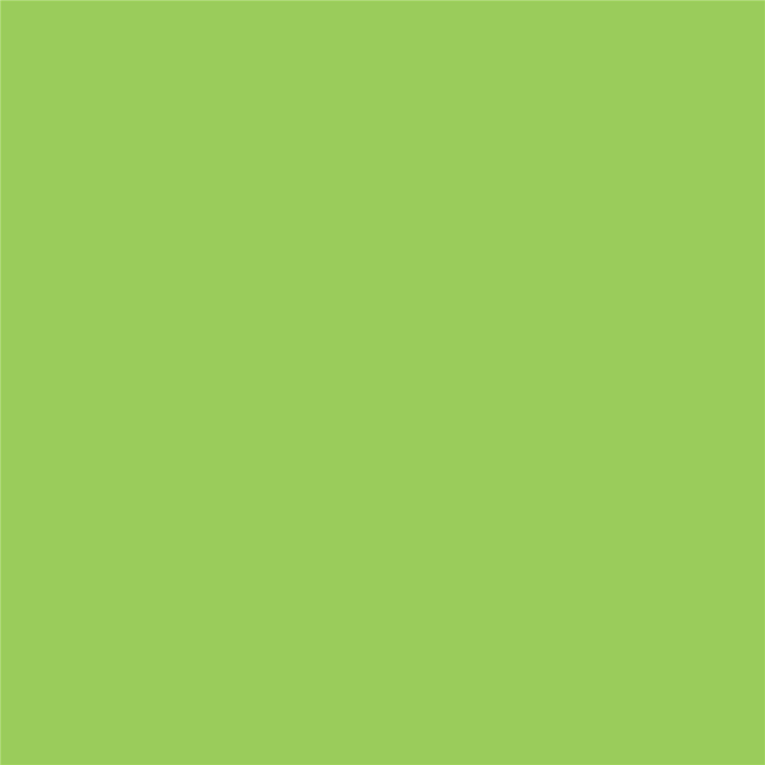 Pennarello Promarker W&N Leaf Green (G258) — immagine 3