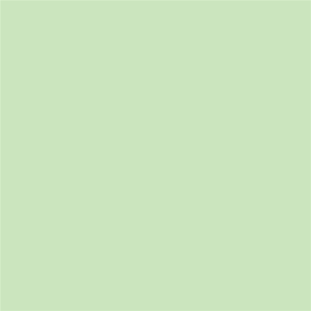 Pennarello Promarker W&N Meadow Green (G339) — immagine 3