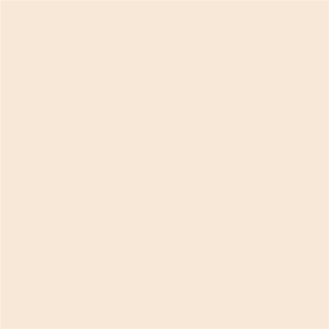 Pennarello Promarker W&N Almond (O819) — immagine 3