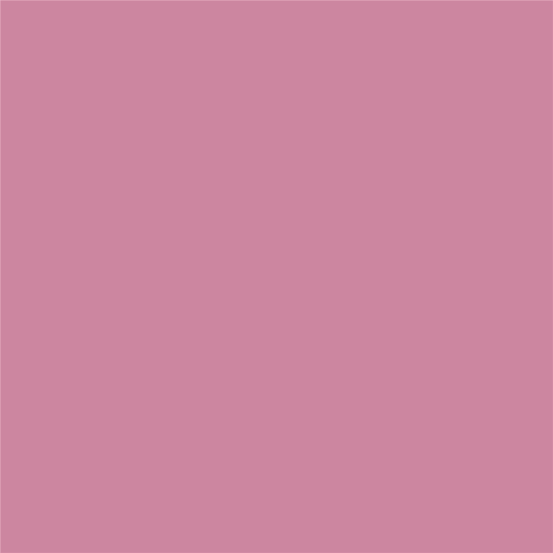 Pennarello Promarker Dusky Rose (r327) — immagine 2