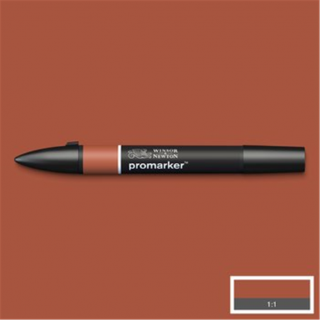 Pennarello Promarker  Umbra Gebrannt (r646)