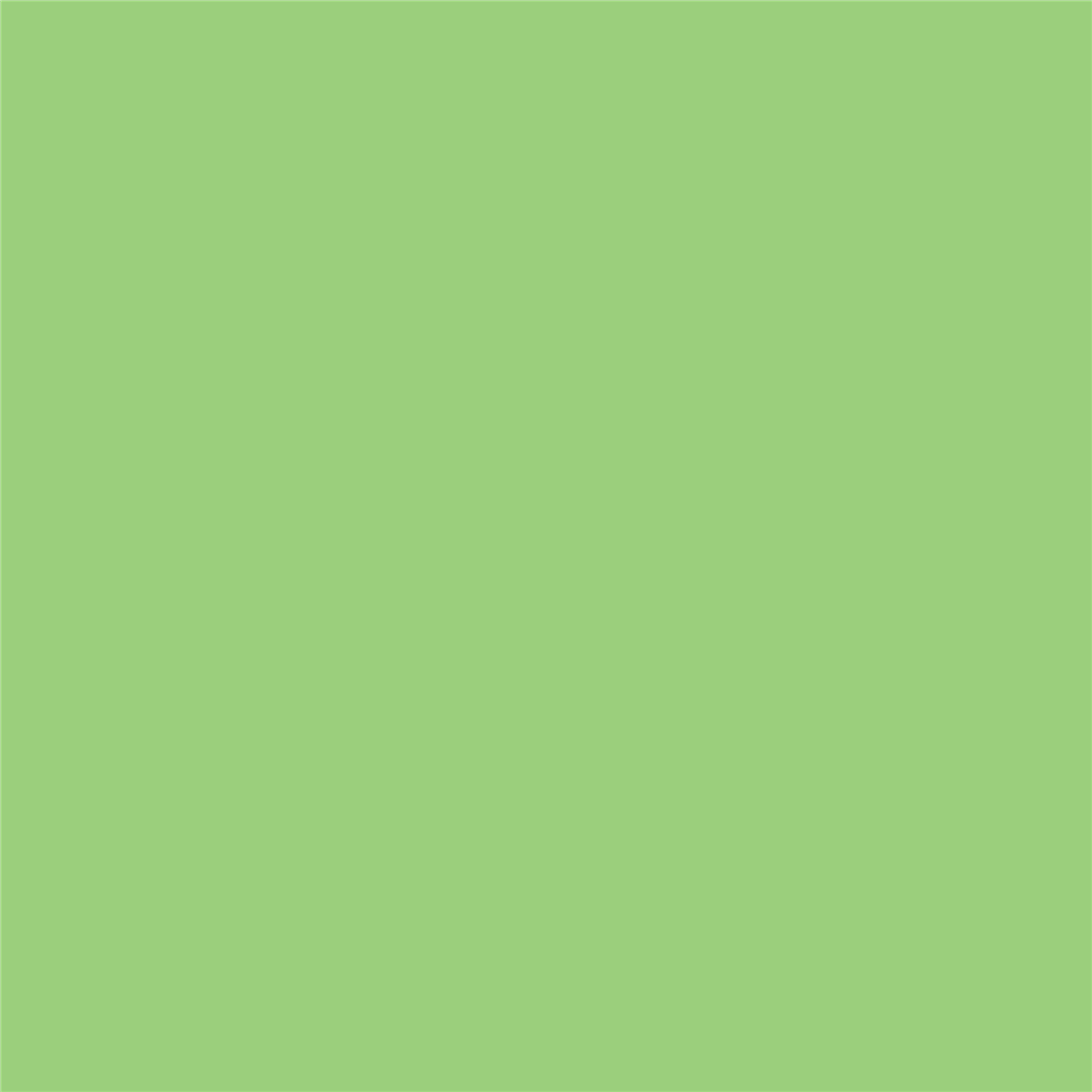 W&N - Pennarello Promarker Brush Apple (G338) — immagine 3