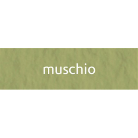Foglio Tiziano A4 Pz.50 114-Muschio