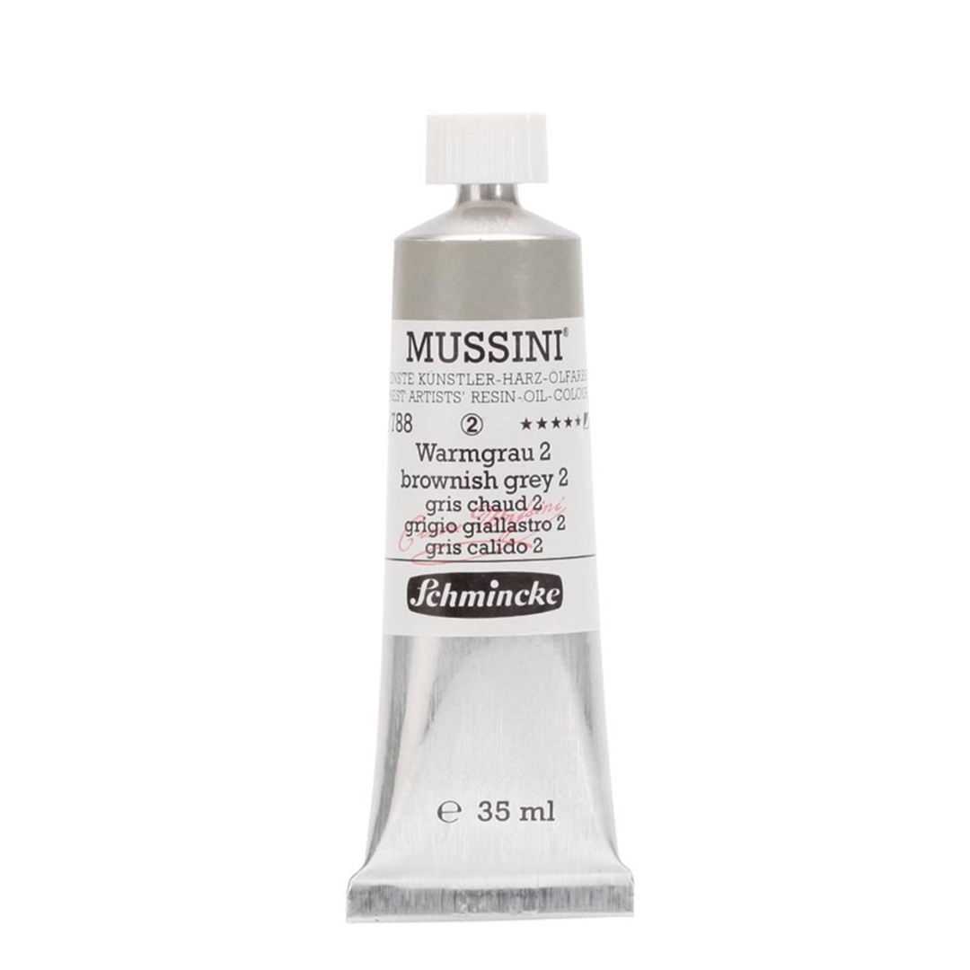 Colore Olio Mussini Ml35 Serie 2 788-Grigio Giallastro 2 — immagine 2