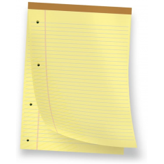 Blocchi Pigna Legal A4 - Confezione Da 10 Pezzi Con Carta Gialla Per Ufficio