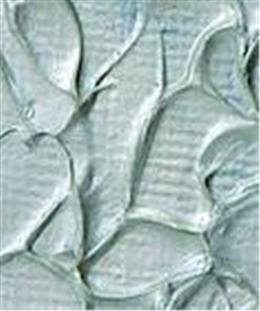 Pasta Acrilica Argento 250ml — immagine 2