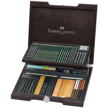 Faber Castell Valigetta In Legno Pitt Con Gamma Completa + Accessori