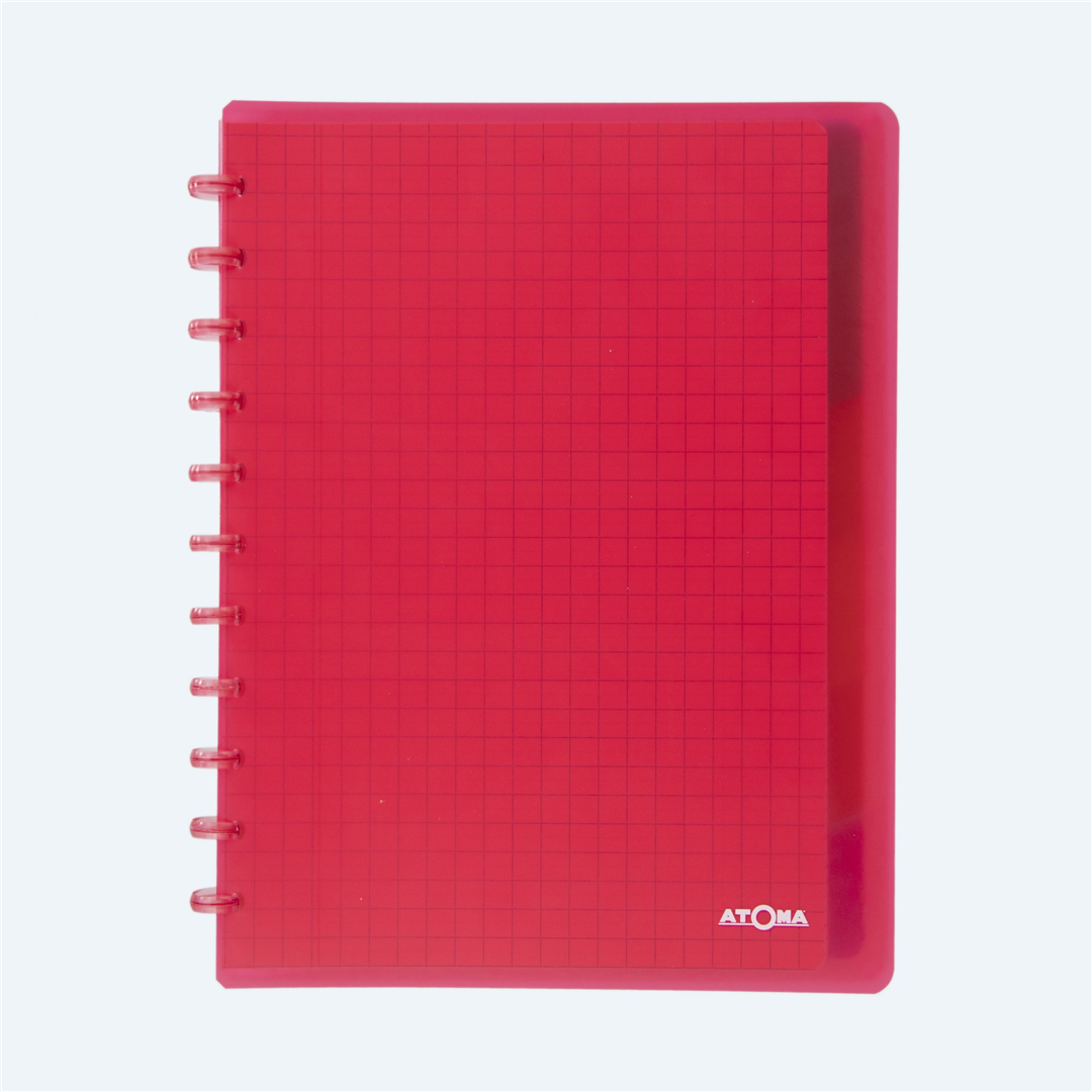 Quaderno  A4 60fg+5bus Ppl Color 5mm-Quadretto 5mm — immagine 5