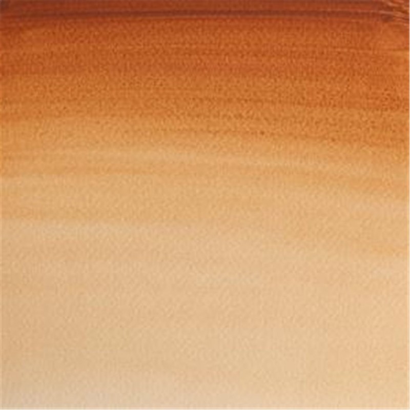 Winsor & Newton - Acquarello Extra-Fine Artists Awc 1-2 Godet Serie 1 - Colore 059 Brown Ochre