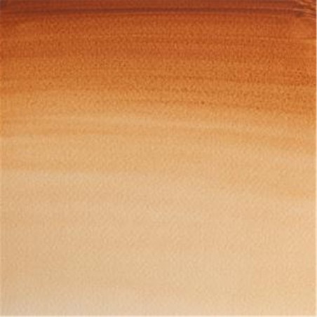 Winsor & Newton - Professional Water Color 1/2 Tablet Series 1-Color Awc 059 Ochre Brown
