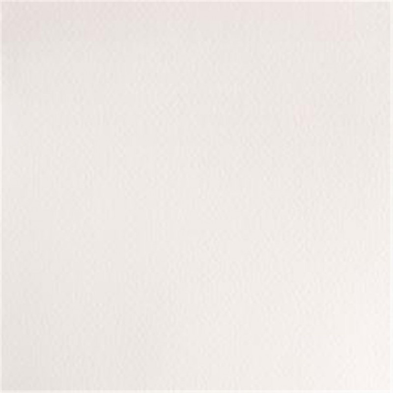Winsor & Newton - Acquarello Extra-Fine Artists Awc 1-2 Godet Serie 1 - Colore Chinese White