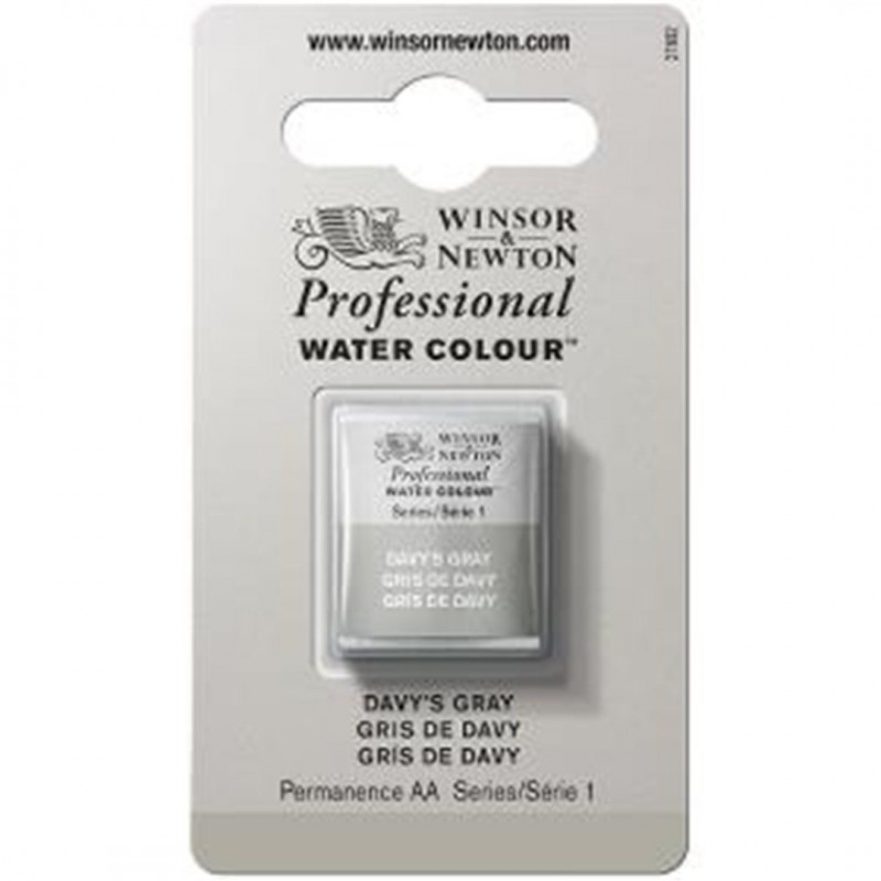 Winsor & Newton - Professional Water Color 1/2 Tablet Series 1-Color Awc 217 Davy'S Grey
