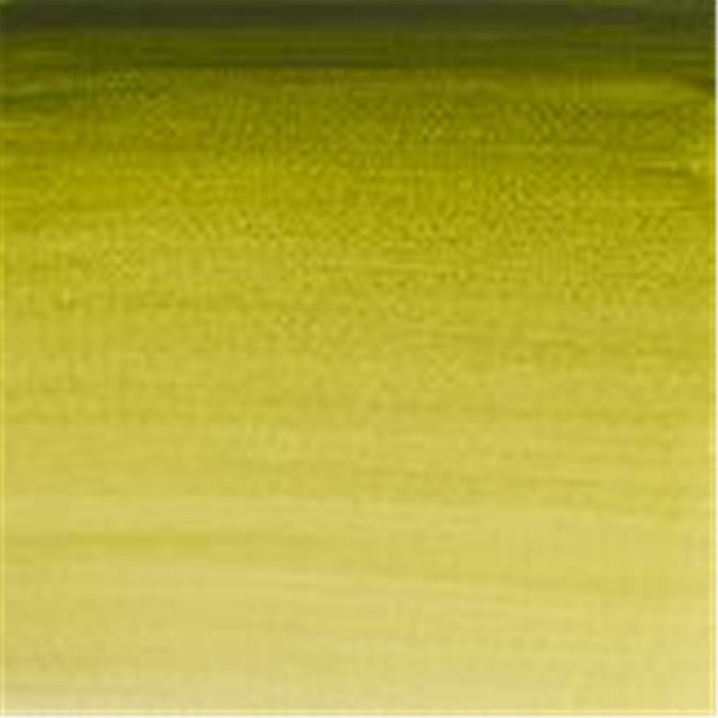 Winsor & Newton - Acquarello Extra-Fine Artists Awc 1-2 Godet Serie 1 - Colore 447 Olive Green