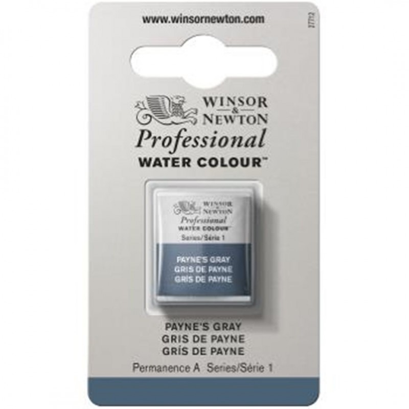 Winsor & Newton - Professional Water Color 1/2 Awc 1-Series Godet Color 465 Gray Payne