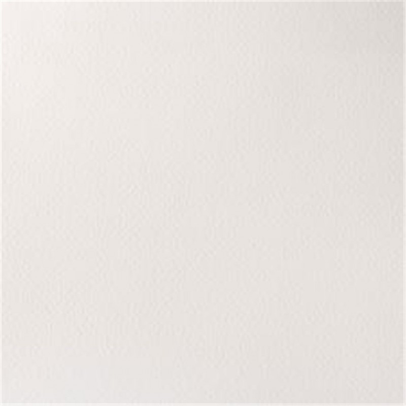 Winsor & Newton - Acquarello Extra-Fine Artists Awc 1-2 Godet Serie 1 - Colore 644 Titanium White